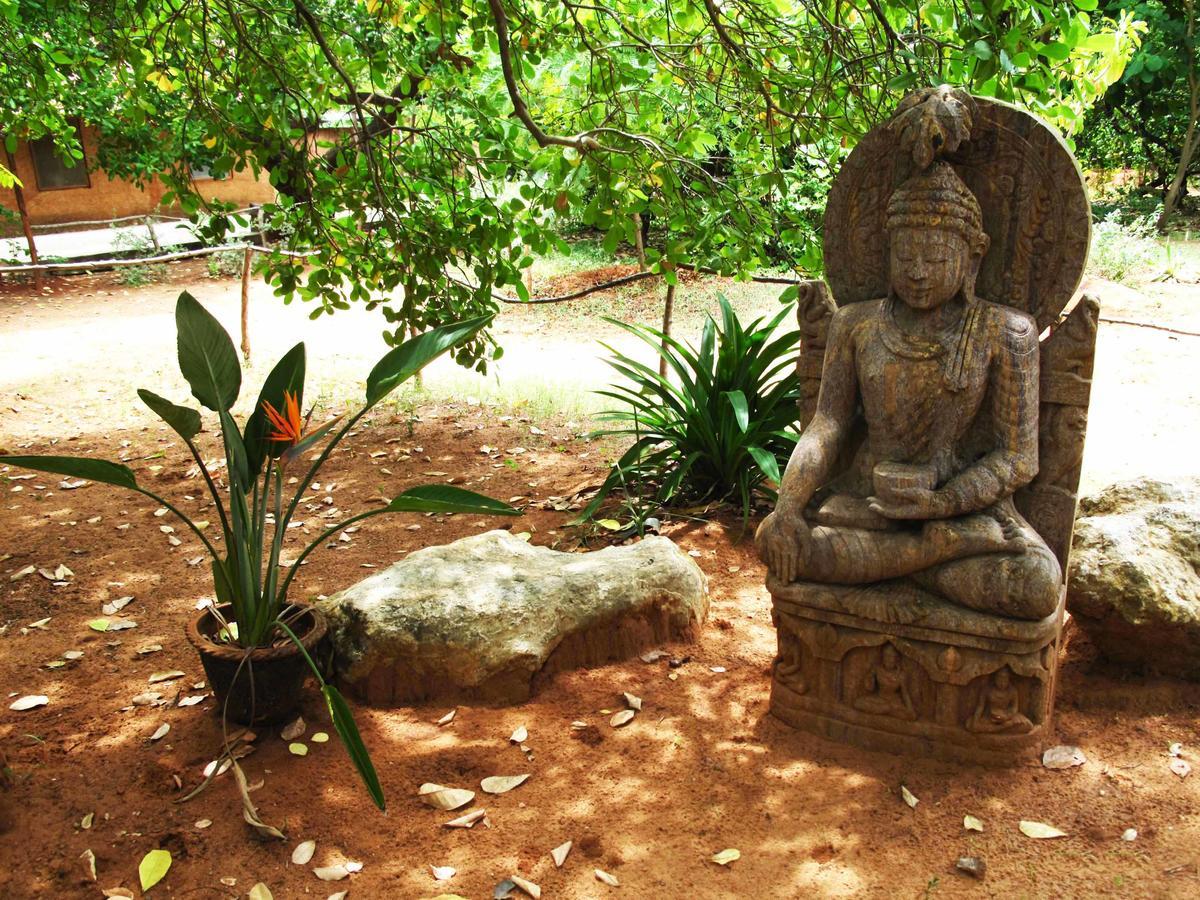 Lotus Studio Auroville Exterior photo