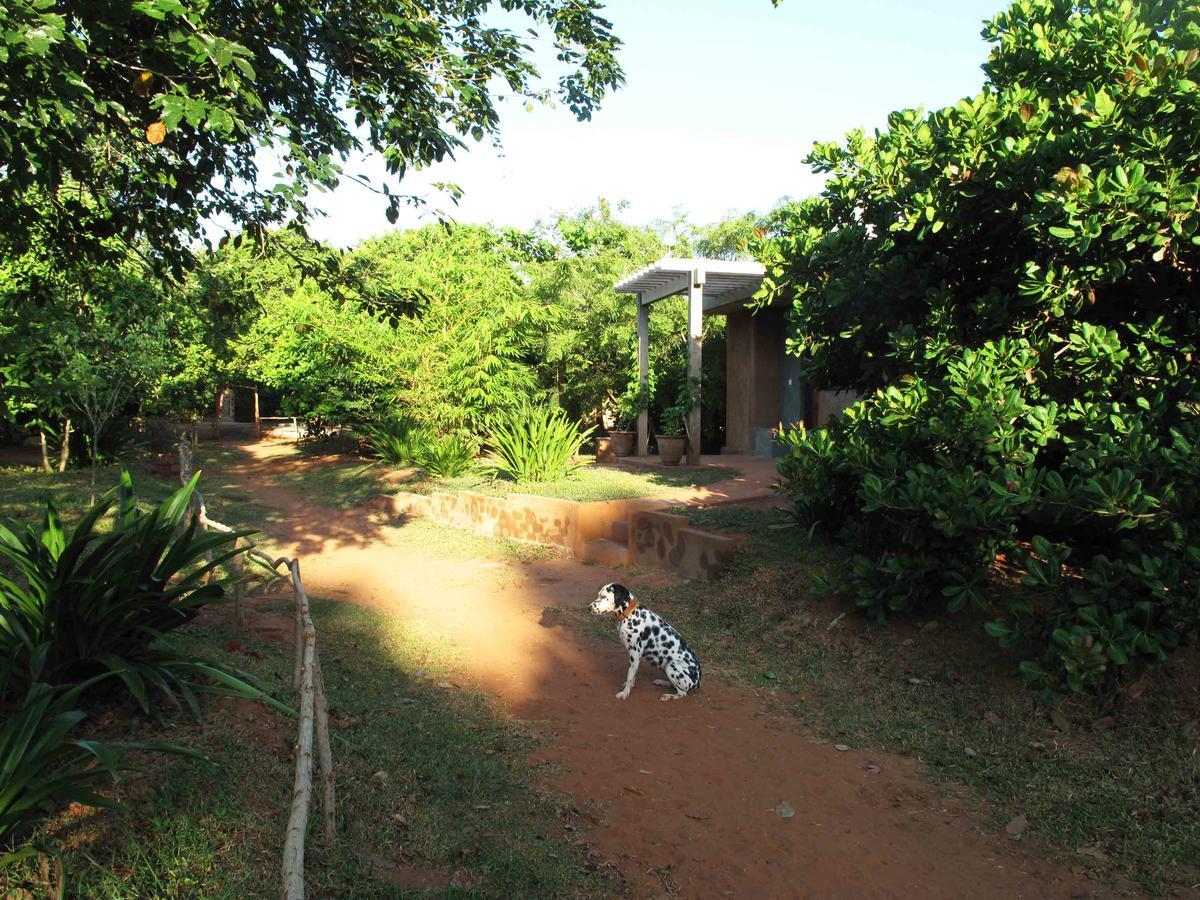 Lotus Studio Auroville Exterior photo