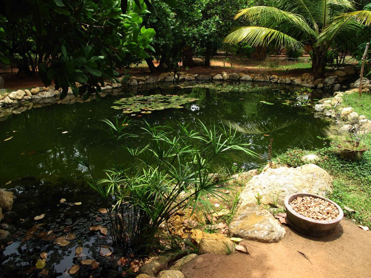 Lotus Studio Auroville Exterior photo